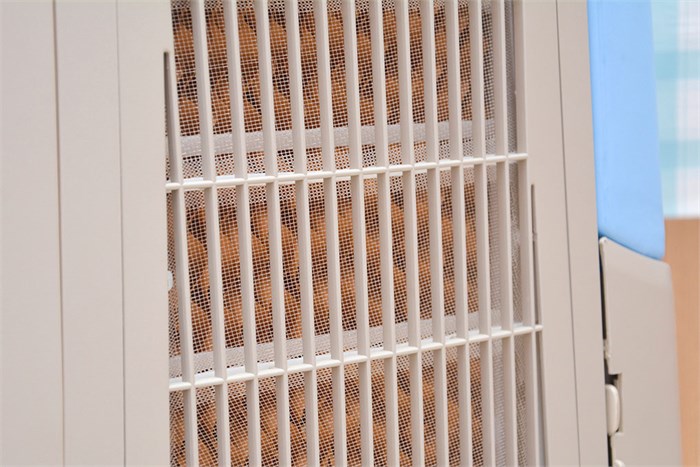 Quạt hơi nước Sanyo REF-B100MK3A Màu Xám