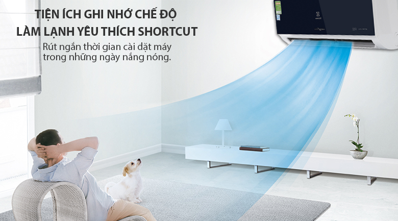 Điều hòa Electrolux Inverter 9000 BTU ESV09CRO-D1