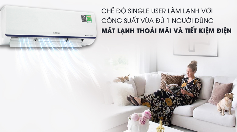 Single User - Máy lạnh Samsung Inverter 1 HP AR10RYFTAURNSV