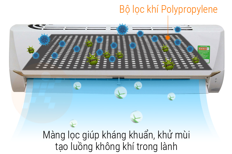 Diệt khuẩn, nấm mốc