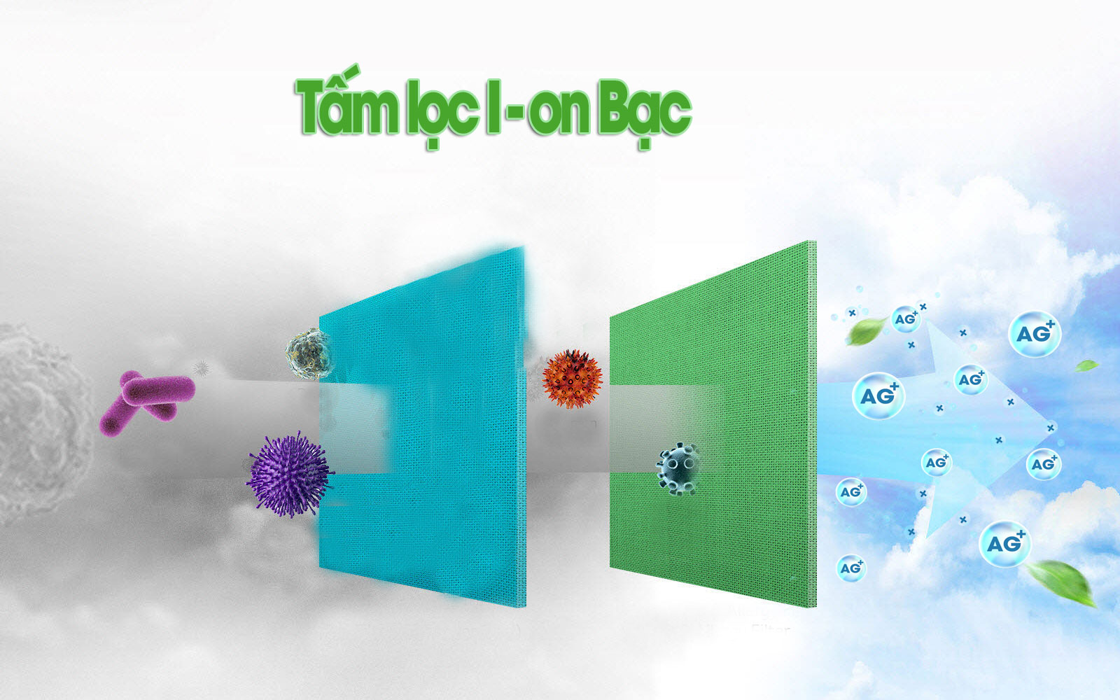 Tấm lọc ion Bạc: