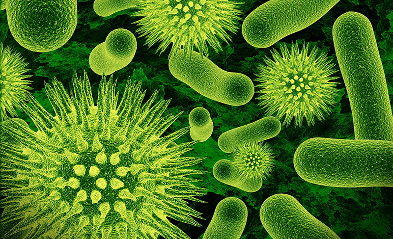 Bộ lọc kháng khuẩn Nanoe-G