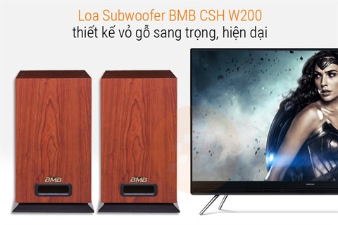 Thiết kế loa trầm