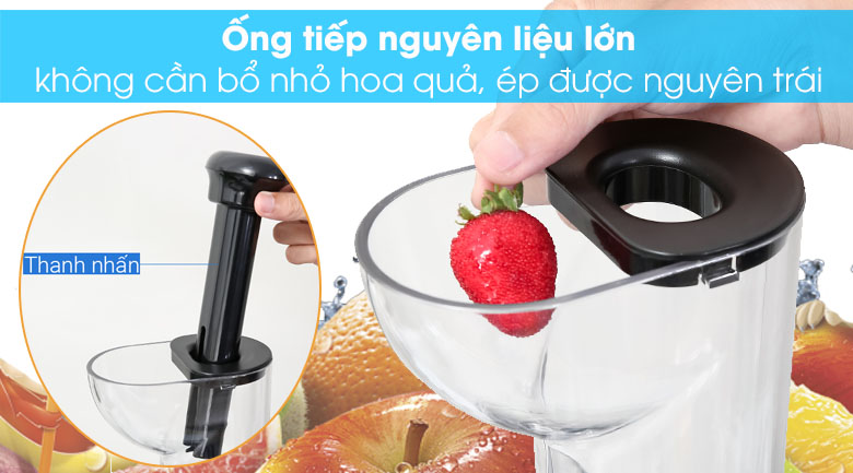 Ống tiếp nguyên liệu lớn - Máy ép chậm Mishio OJ6-Fruitberry-S