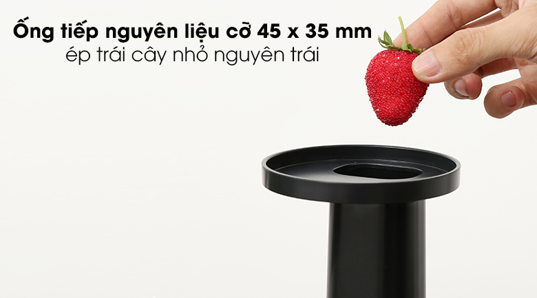 Máy ép chậm Kalite KL-530 - Đường kính ống tiếp nguyên liệu 45 x 35 mm