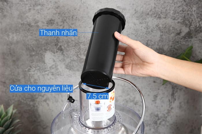 Máy ép trái cây Tefal ZE550D38 Màu Đen