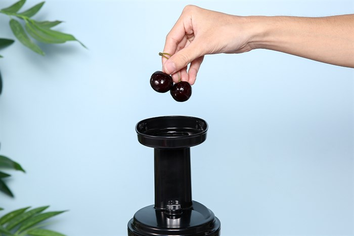 Máy ép chậm Ferroli FSJ-150M Màu Vàng đồng