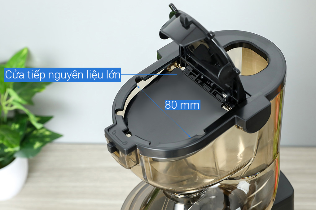 Máy ép chậm Crystal ZZJ821ML Màu Đen