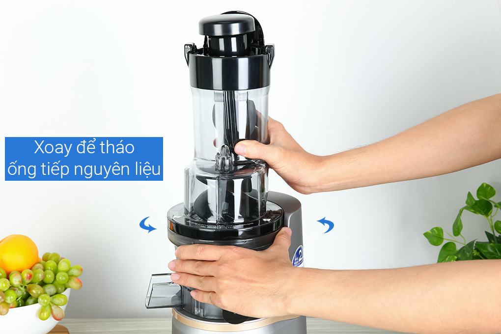 Máy ép chậm BlueStone SJB-6558 Màu Xám