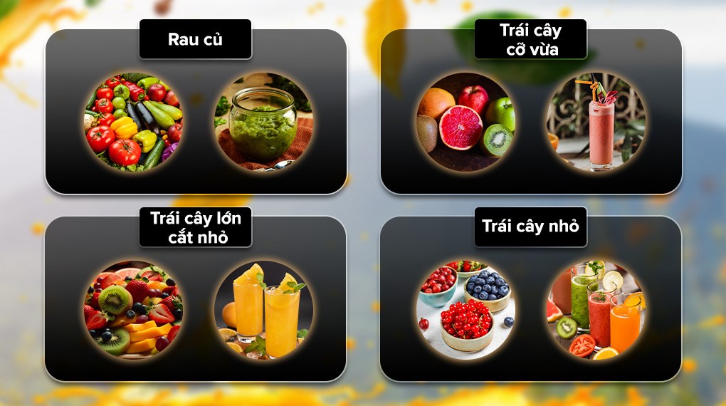 Máy ép chậm Rapido RSJ-250GM