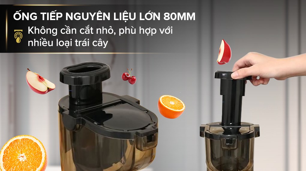 Máy ép chậm Kangaroo KG250SJ1