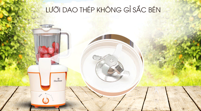 Máy xay ép đa năng BlueStone BLB-5343