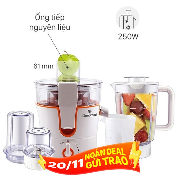 Máy xay ép đa năng BlueStone BLB-5343