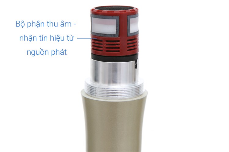 Cặp micro không dây Zenbos MZ-216 Màu Đen - Vàng