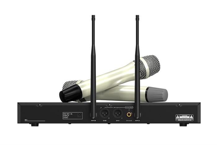 Cặp micro không dây Paramax WM-1800 Màu Đen