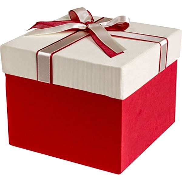Hộp quà chữ nhật đính nơ hộp quà tặng sinh nhật hộp quà tặng 83 Va   Phụ kiện thời trang RYA