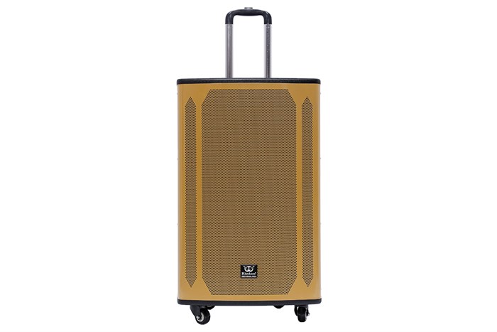 Loa kéo karaoke Rinton PL-9 400W Màu Đen