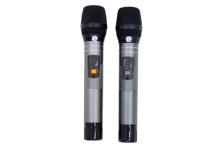 Loa kéo karaoke Rinton PL-9 400W Màu Đen