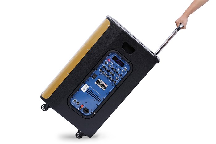 Loa kéo karaoke Rinton PL-9 400W Màu Đen