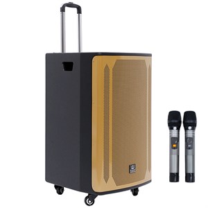Loa kéo karaoke Rinton PL-9 400W