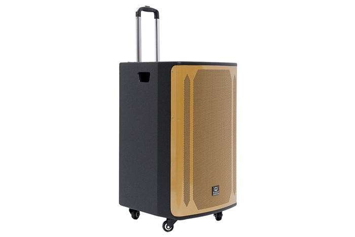 Loa kéo karaoke Rinton PL-9 400W Màu Đen