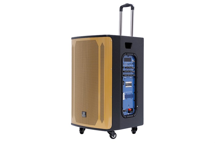 Loa kéo karaoke Rinton PL-9 400W Màu Đen