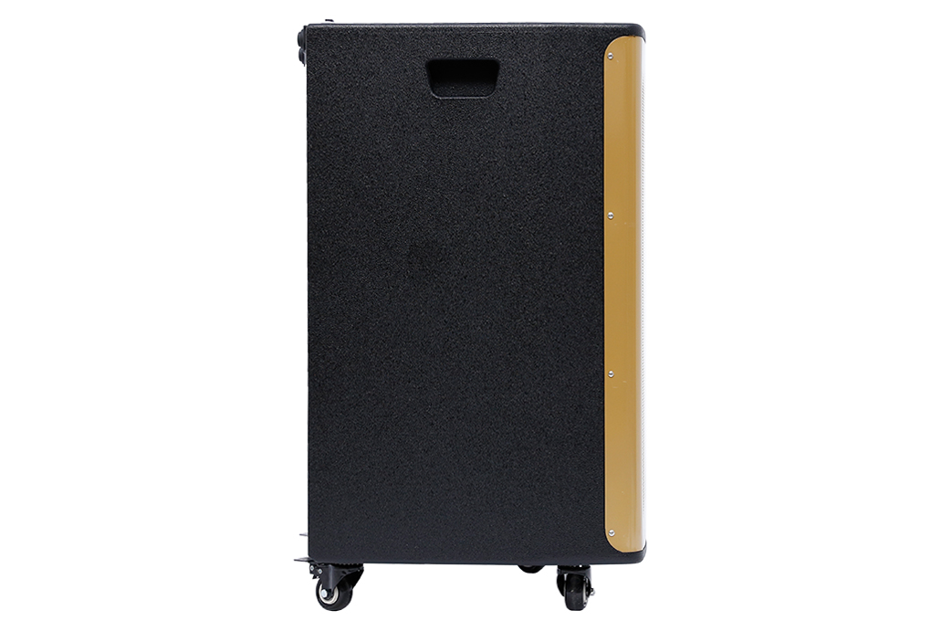 Loa kéo karaoke Rinton PL-9 400W Màu Đen