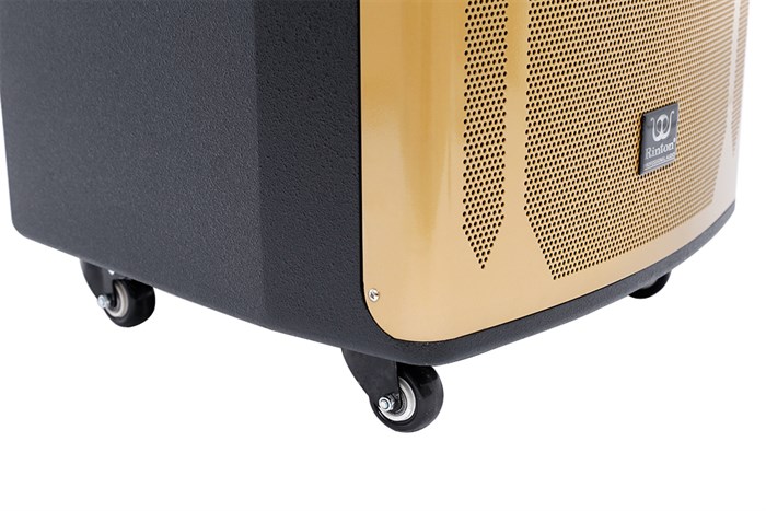 Loa kéo karaoke Rinton PL-9 400W Màu Đen