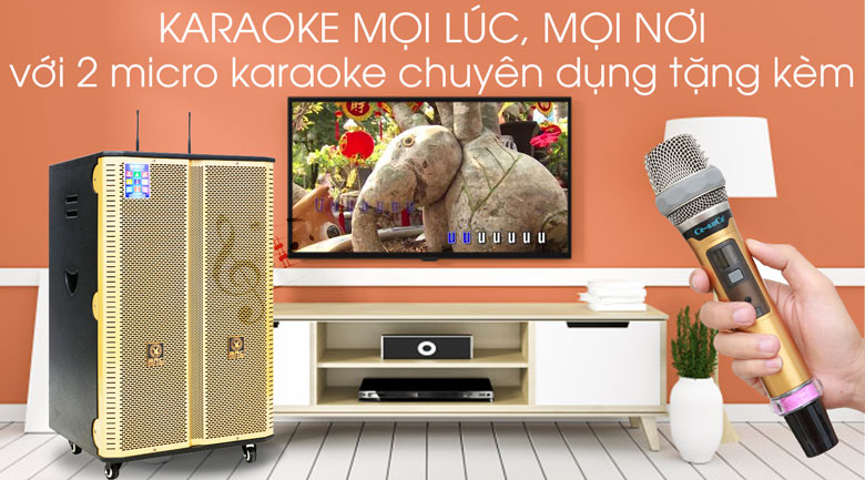 Loa điện Karaoke Birici MX-400 300W