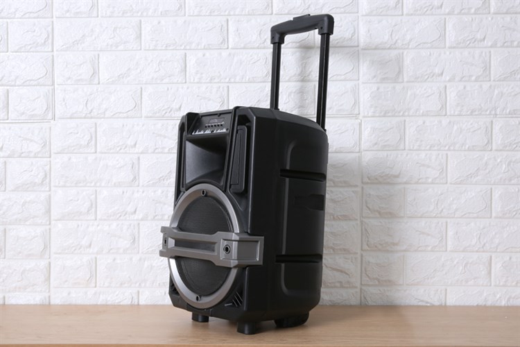 Loa Kéo Bluetooth Karaoke Enkor L0810K Đen 25W Màu Đen