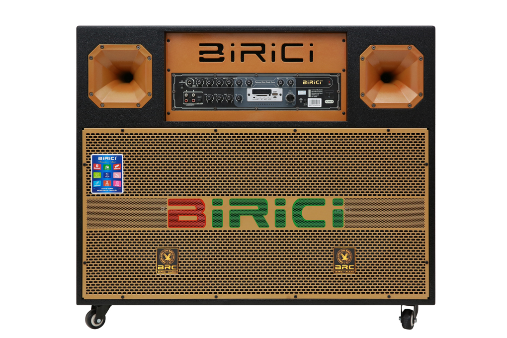 Loa điện karaoke Birici MX-700 450W