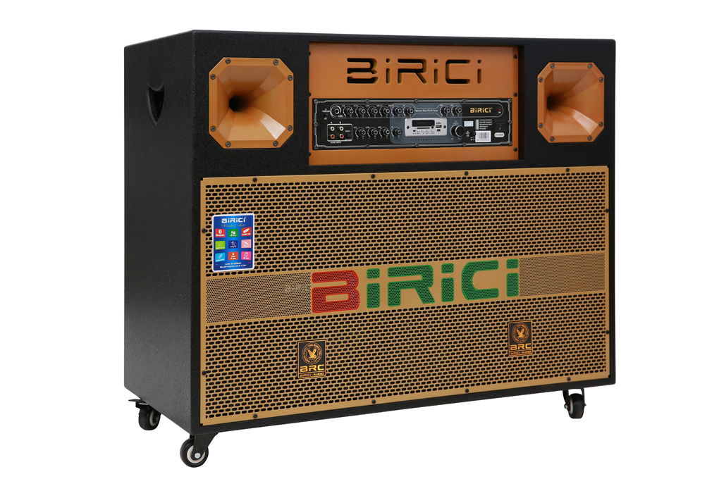 Loa điện karaoke Birici MX-700 450W - 2