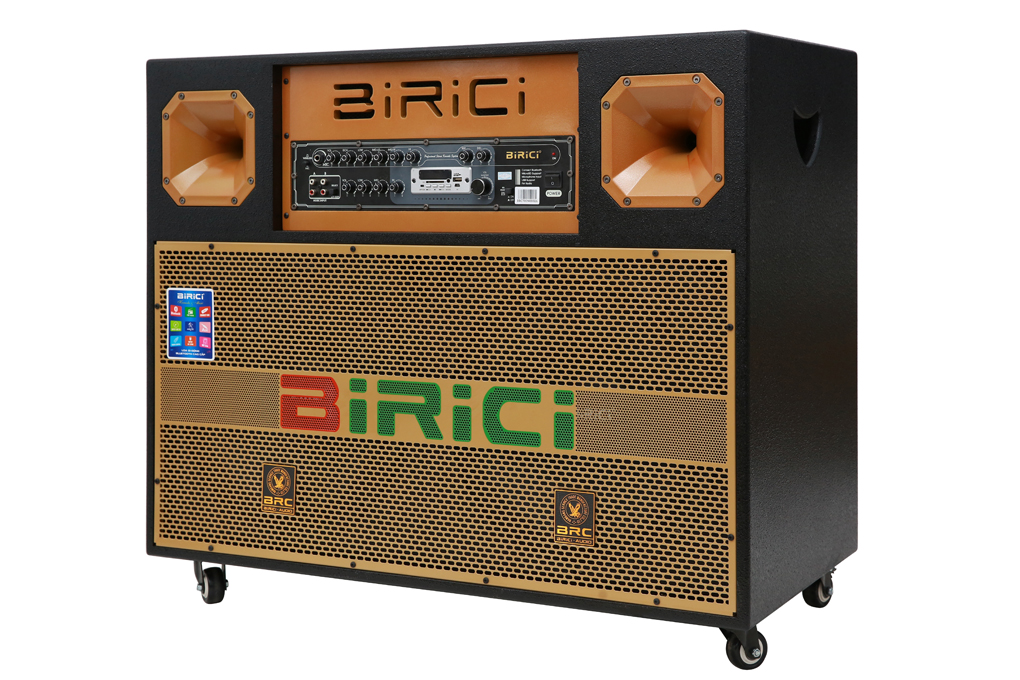 Loa điện karaoke Birici MX-700 450W - 3