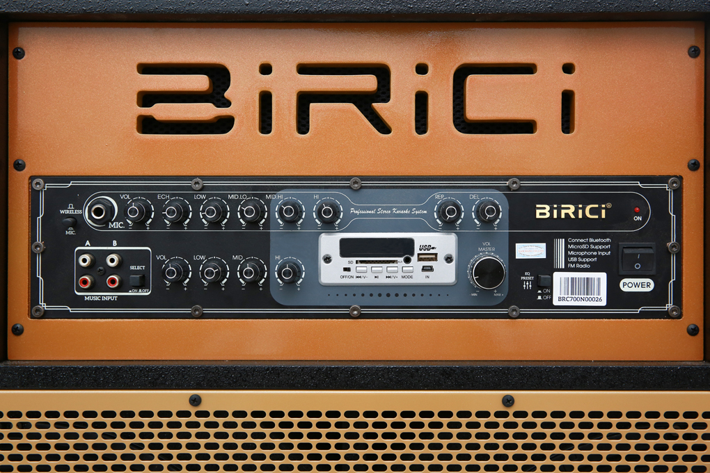 Loa điện karaoke Birici MX-700 450W - 5