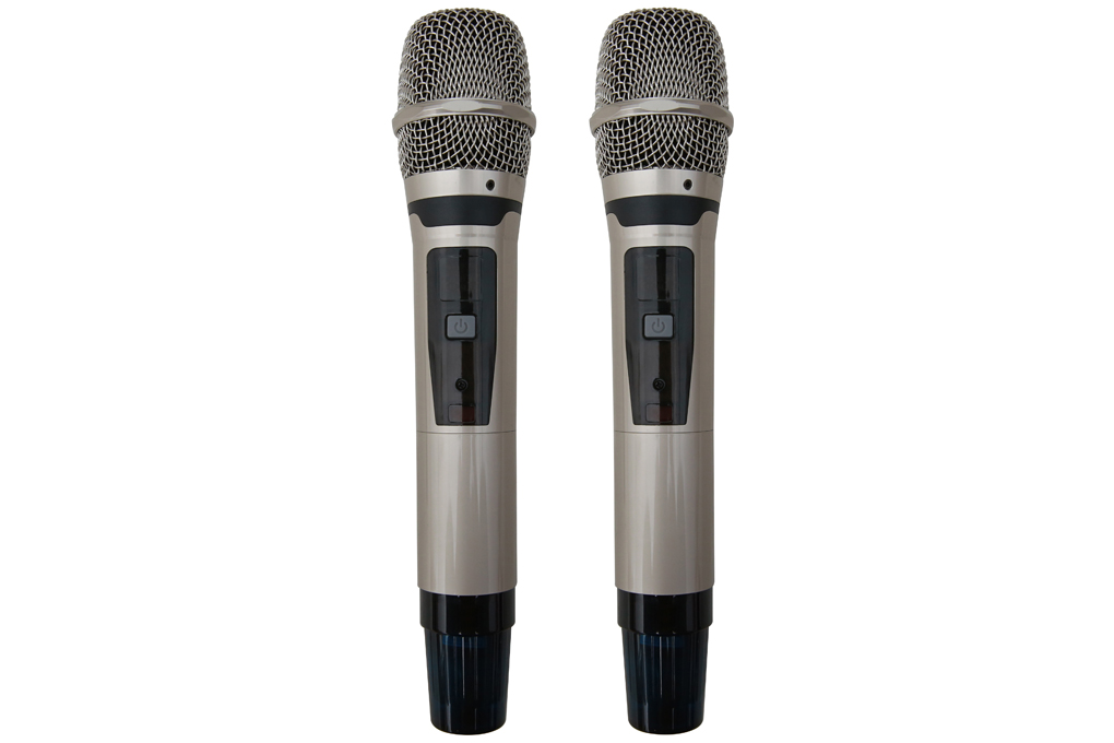 Loa điện karaoke Birici MX-700 450W - 8