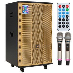 Loa Điện Birici MX-900