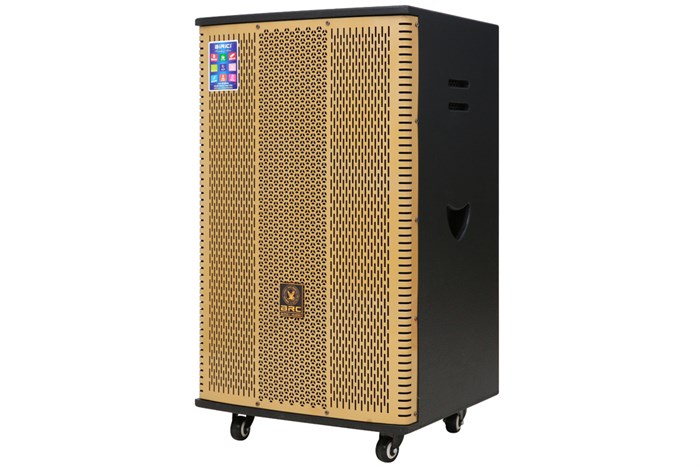 Loa Điện Birici MX-900