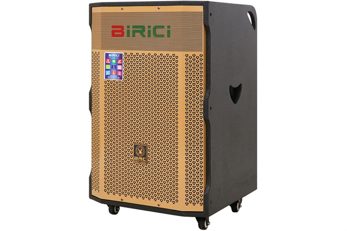 Loa Karaoke Birici MX-1000