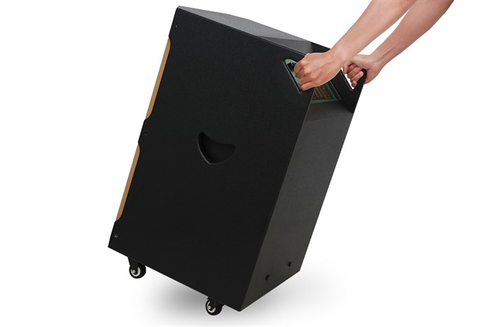 Loa Karaoke Birici MX-1000