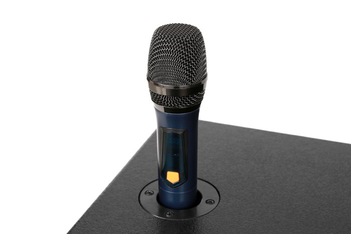 Loa điện karaoke SuYang X-128 850W Màu Đen - Vàng