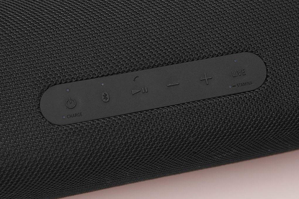 Loa Bluetooth Sony Extra Bass SRS-XB43 - 10