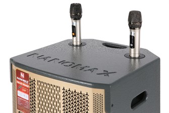 Loa kéo Karaoke Nanomax S-1000 450W - 9