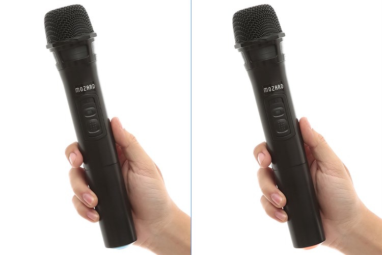 Loa Kéo Bluetooth Mozard L0629K Đen Xám Màu Đen - Xám