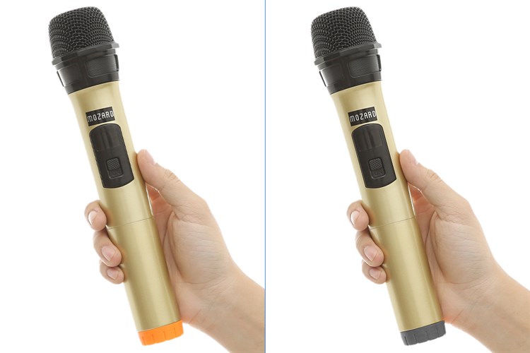 Loa kéo karaoke Mozard L1028K 50W Màu Đen