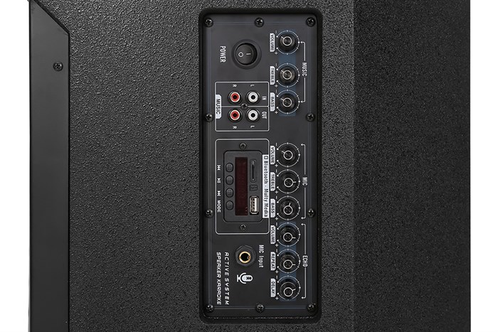 Loa điện karaoke SuYang X-138 850W Màu Đen