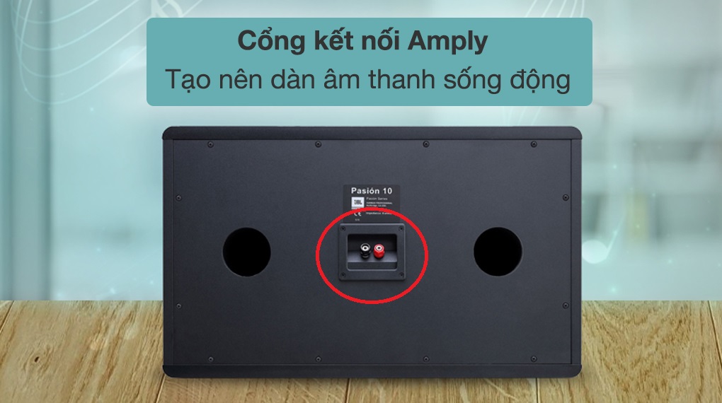 Cặp loa karaoke JBL Pasion 10 400W - Cổng kết nối Amply phía sau tạo nên dàn âm thanh sống động