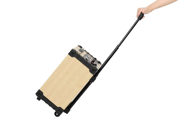 Loa kéo karaoke Mobell MK-2120C 30W Màu Đen - nâu