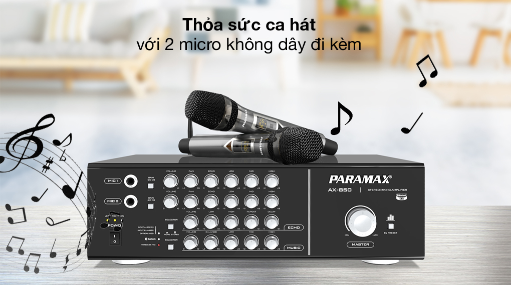 2 micro - Amply Karaoke Paramax AX-850