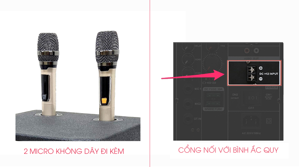Loa Kéo Karaoke Nanomax S-800 - Tiện ích