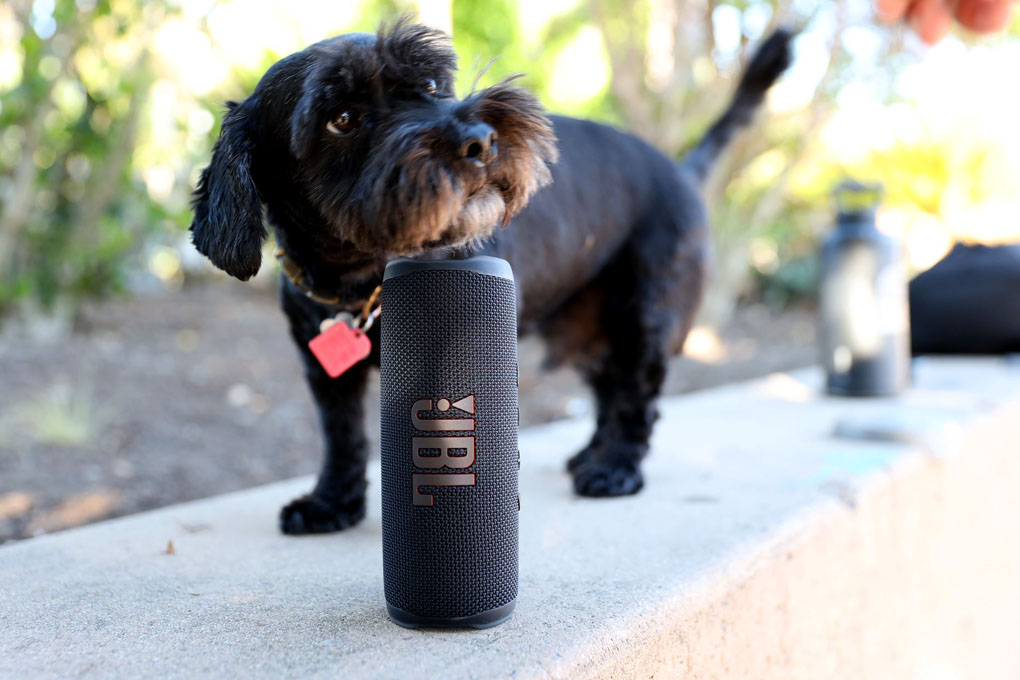 Loa Bluetooth JBL Flip 6 Màu Đen